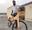 Punjabi Farmer Designs Wooden Bicycle
