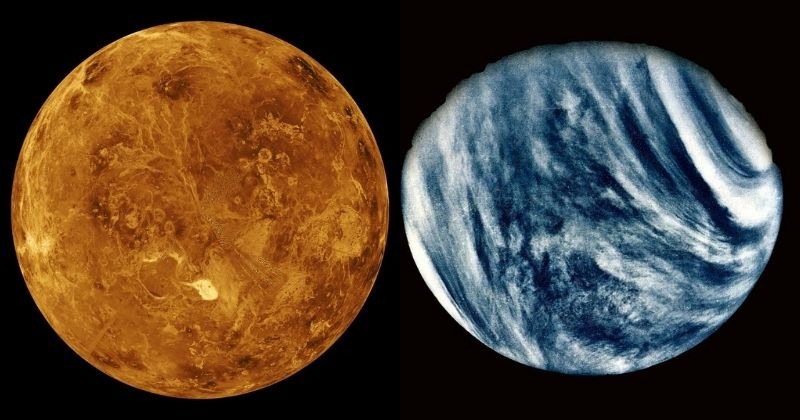 Life On Venus: Researchers Look For Possible Life On The Planet