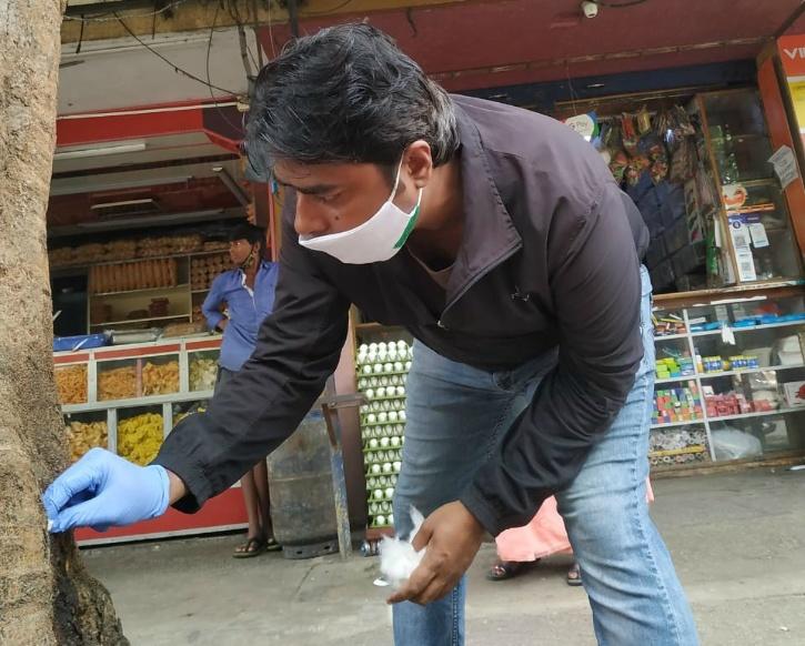 Bengaluru Trees, Bengaluru Tree Cutting, Bengaluru Tree Poisoning, Acid On Trees, Bengaluru Tree Doctor, Vijay Nishanth