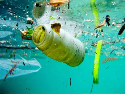 Plastic in sea crisis