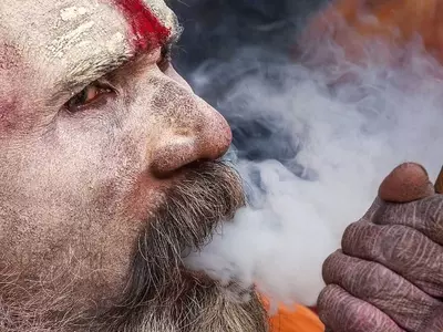 legalise marijuana india