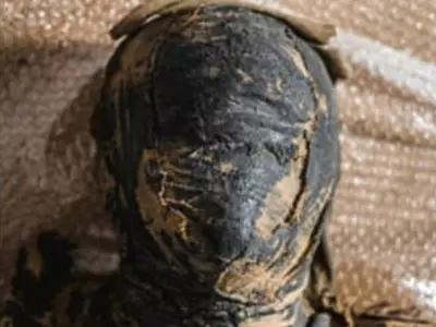warsaw pregnant mummy