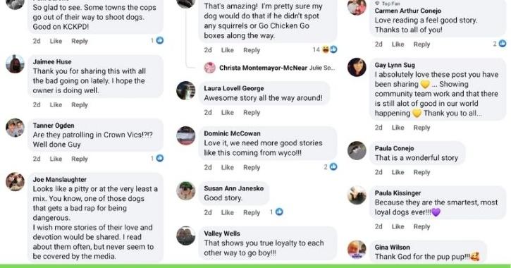 comments