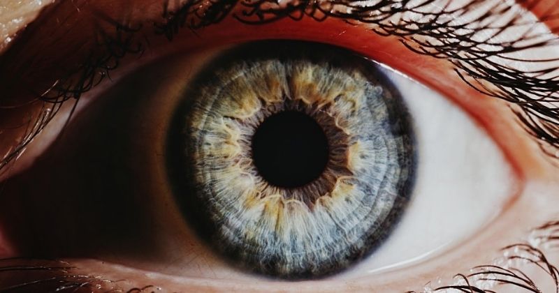 Genetically blind person could see for 15 months after RNA injection