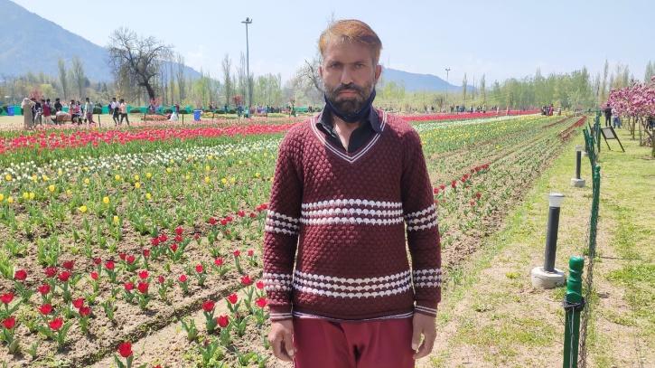 Life Of A Tulip Gardener in Kashmir