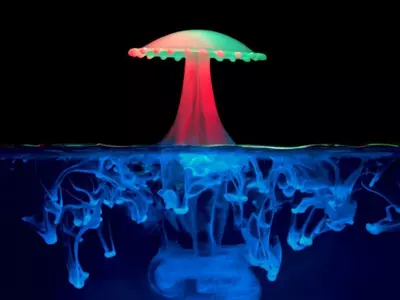 Magic Mushroom Show Promise In Treatment For Depression, Study Finds