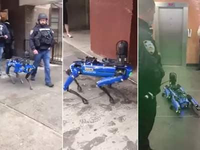 digidog NYPD's robot dog