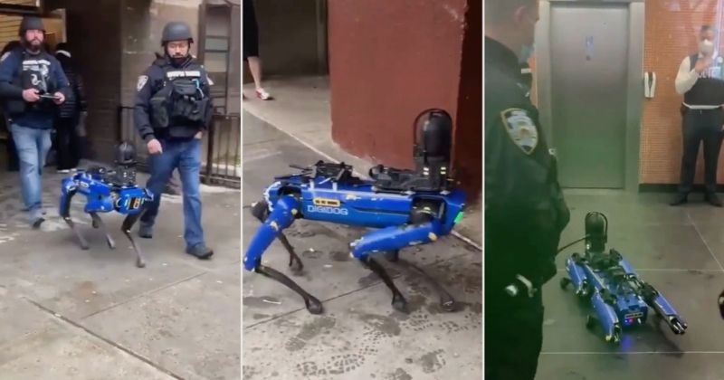 Viral Video Shows Robot Dog Helping New York Police In City Patrol