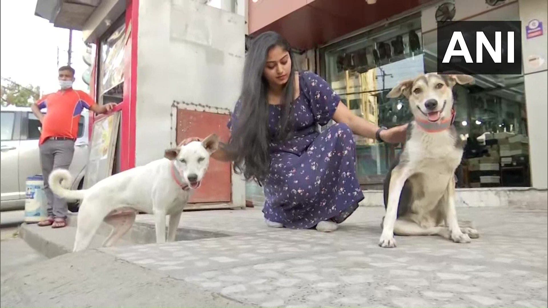 With Unique Collars, This Is How A Hyderabadbased NGO Is Trying To