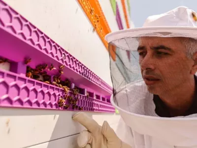 Israeli start-up creates robotic beehives
