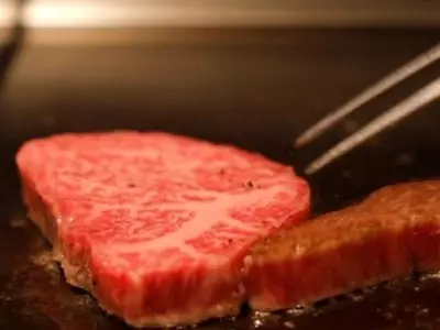 wagyu beef grown in lab