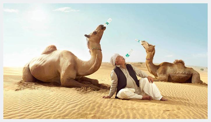 Bisleri Camel 