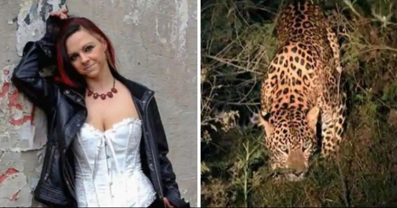 Model Attacked By Leopard During Photoshoot