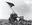 Raising the Flag on Iwo Jima by Joe Rosenthal, 1945