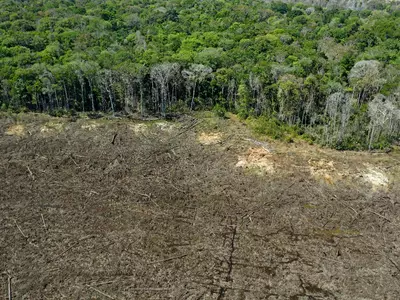 Brazil: Amazon, World's Biggest Rainforest, Records Worst-ever Deforestation In January Alone
