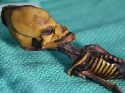 Skeleton found in Chile