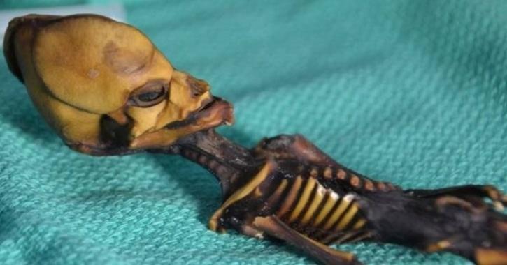 Skeleton found in Chile