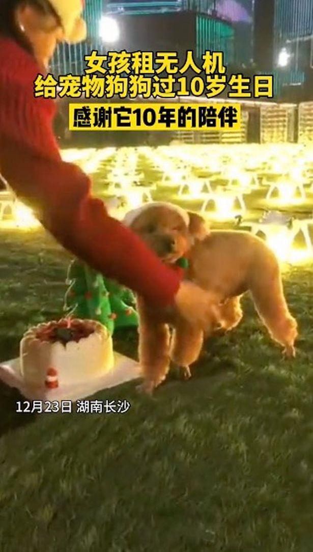 chinese woman spends 11 lakh on dog birthday