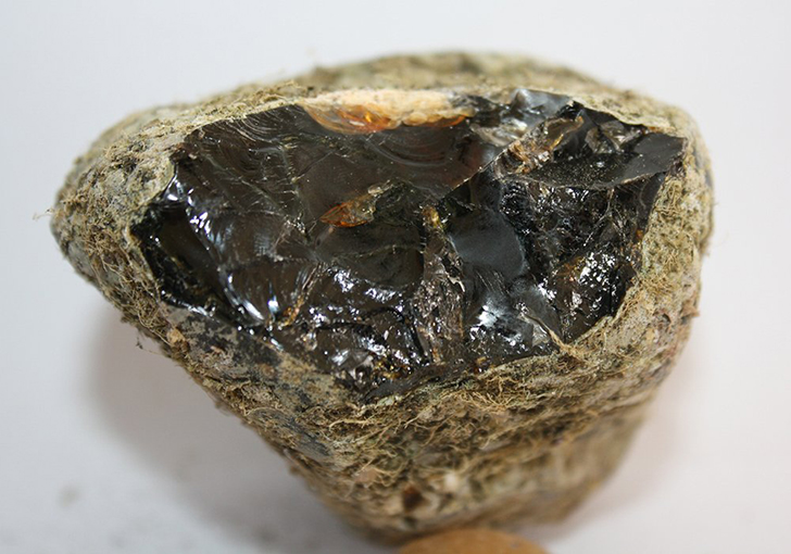 Explained What Is Ambergris And What Is It Used For   Civilsdaily 61b7085feee20 