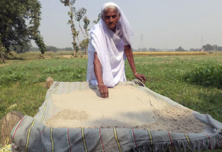 sand eating granny Kushmavati devi