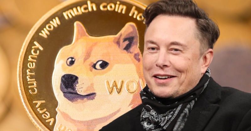 Elon Musk Says Dogecoin Is Better For Transactions Than Bitcoin