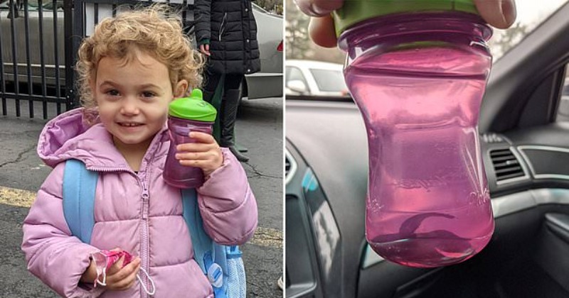 This Little Girl Forgot She Snuck Her Pet To School In Her Sippy