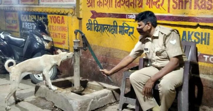 policeman helps dog to drink water varanasi