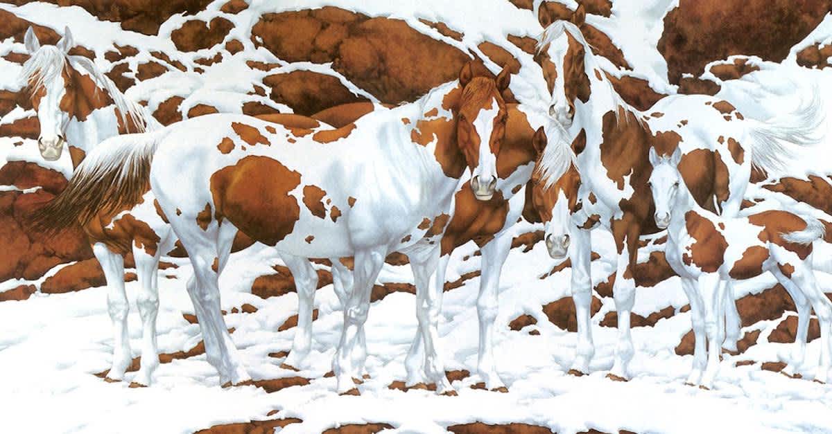 Tricky Optical Illusion Asks To Spot Horses? How many Are There?