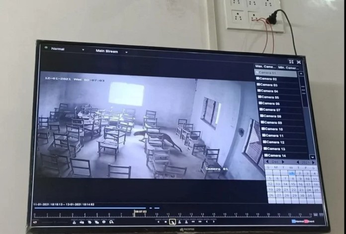 Leopard Strays Into Aligarh Classroom