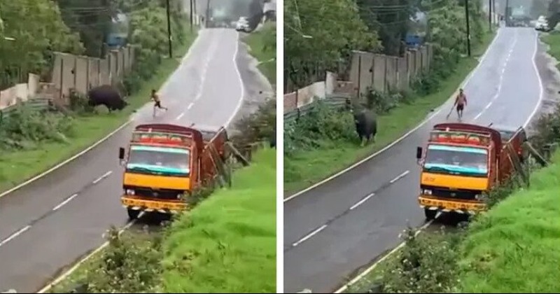 Tamil Nadu: Video Of A Man Brutally Assaulting An Injured Indian Gaur ...