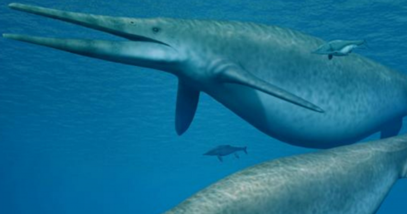 Ancient Sea Reptile Evolved Into A Gigantic Size In Just 2.5 Million Years - India Times