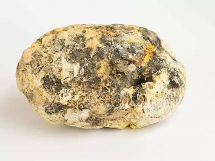 Explained What Is Ambergris And What Is It Used For