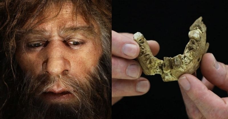 Scientists Create World S Oldest Family Tree Using 5 700 Year Old Human DNA   Oldest Human Dna Family Tree 61cd9a4164e00 