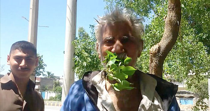 pakistan man eats leaves and wood