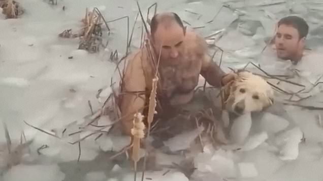 Two police officers rescue dog from frozen lake. 