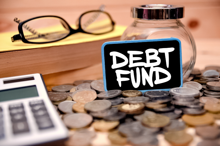short-term investment in debt funds