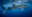 whale shark india