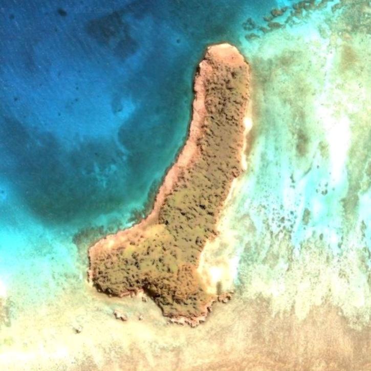 While On Google Earth, A Woman Apparently Noticed A ‘Penis-Shaped’ Island In The Middle Of Pacific Ocean