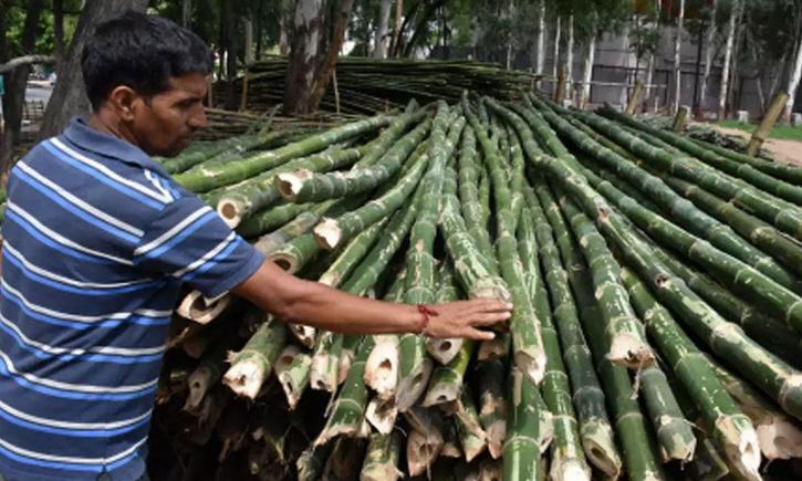 Bamboo for barriers