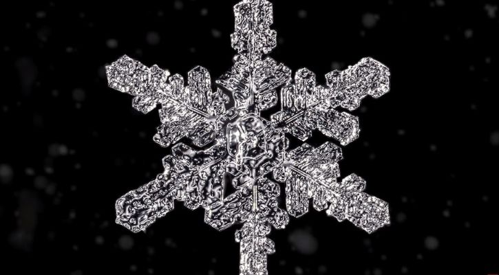snowflake photography