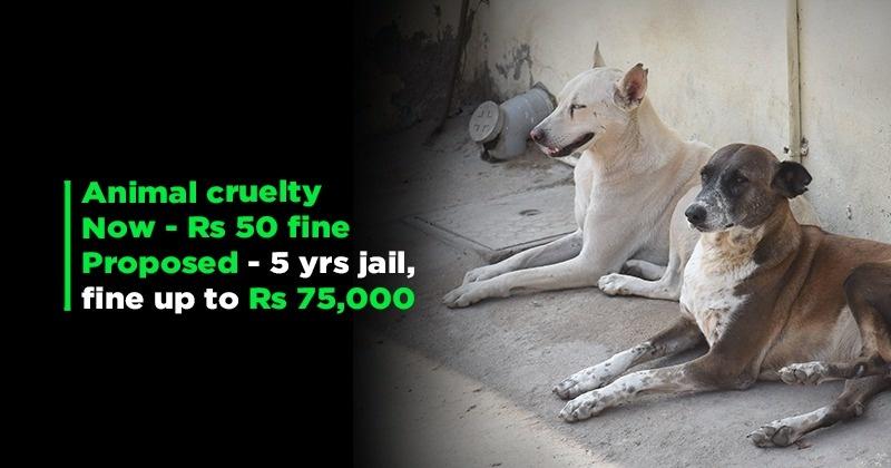 A Step In Right Direction! Punishment For Animal Cruelty To Be Increased To  5 Years Jail, Fine