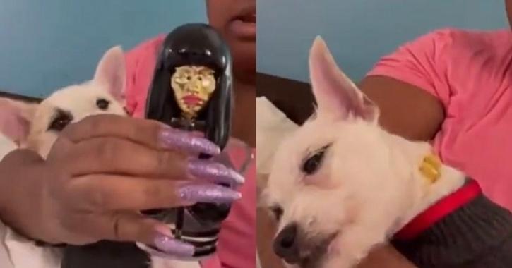 Influencer Arrested For Abusing Dog To Gain More Followers Influencer Arrested For Abusing Dog To Gain More Followers