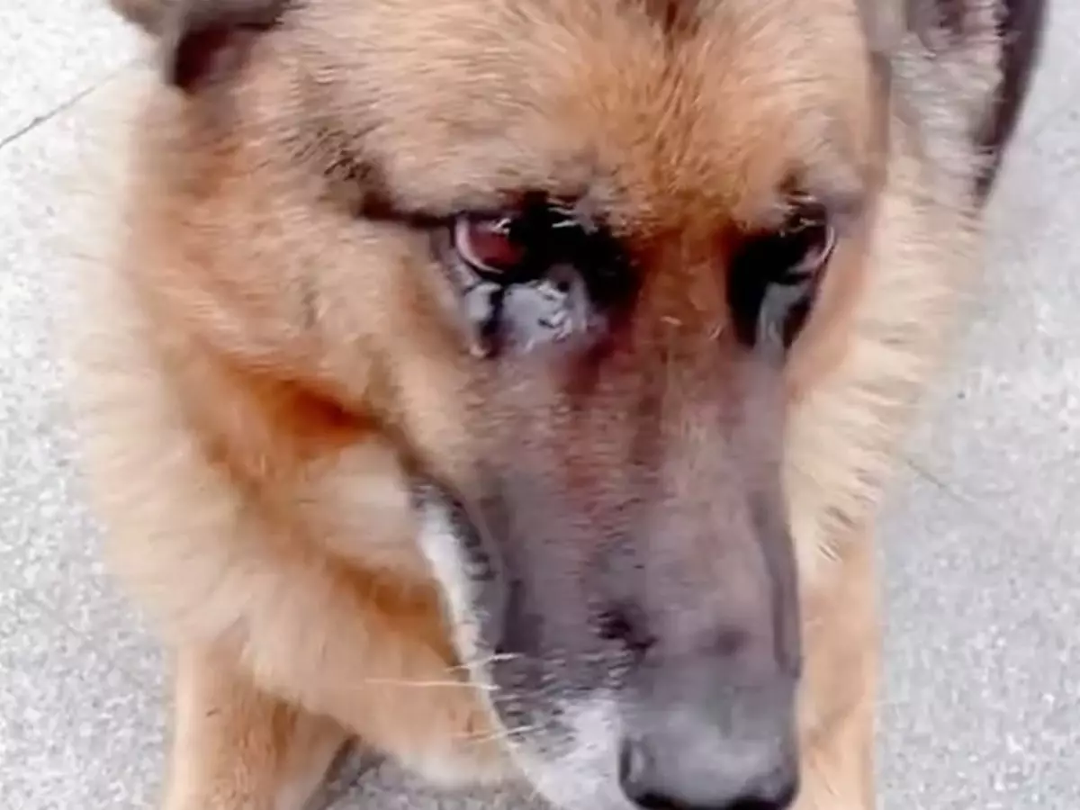 1-cry-5ffc238dda30d Indiatimes