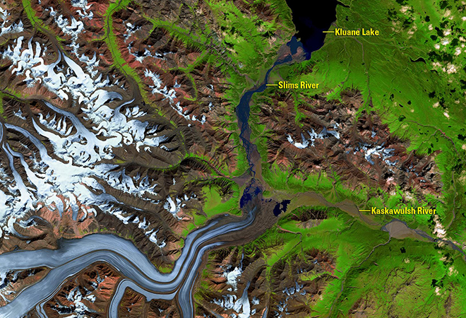 Kaskawulsh glacier meltwater alters downstream ecosystems (August 3, 2015 - July 4, 2016)