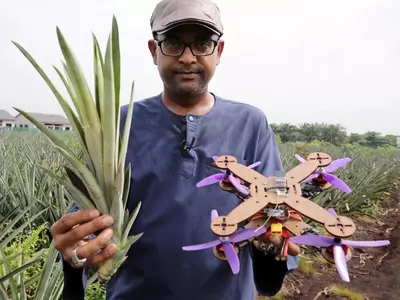 biodegrabale drones