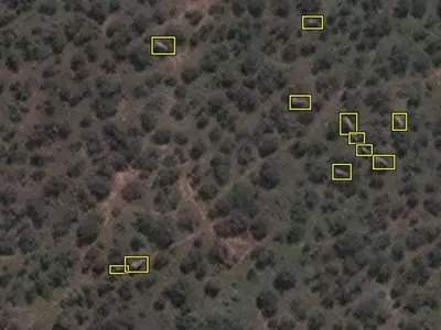 African Elephant Are Being Counted From Satellite Images For Conservation Efforts