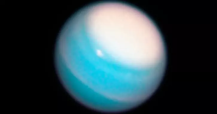 Scientist Begs Twitter CEO To Stop Censoring 'Uranus' As Offensive Content