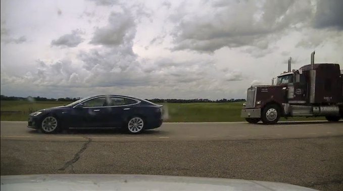 The electric car was able to steer between the adult adult and its calves, which followed it.