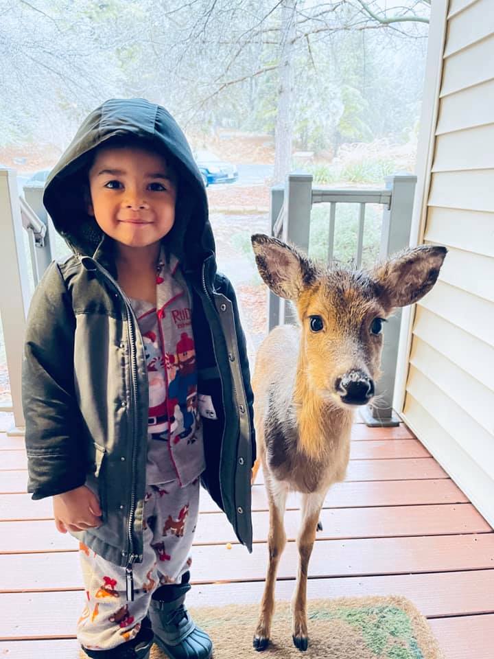 Virginia: Little Boy Befriends Baby Deer In Woods