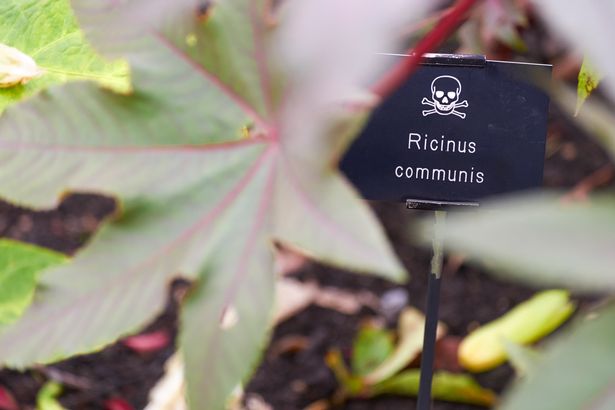 This Poison Garden In England Has Plants That Can Kill You